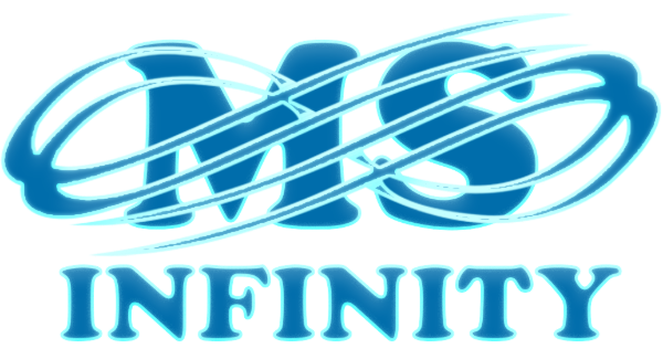 MSINFINITY ETHERNET SOLUTIONS PVT LTD